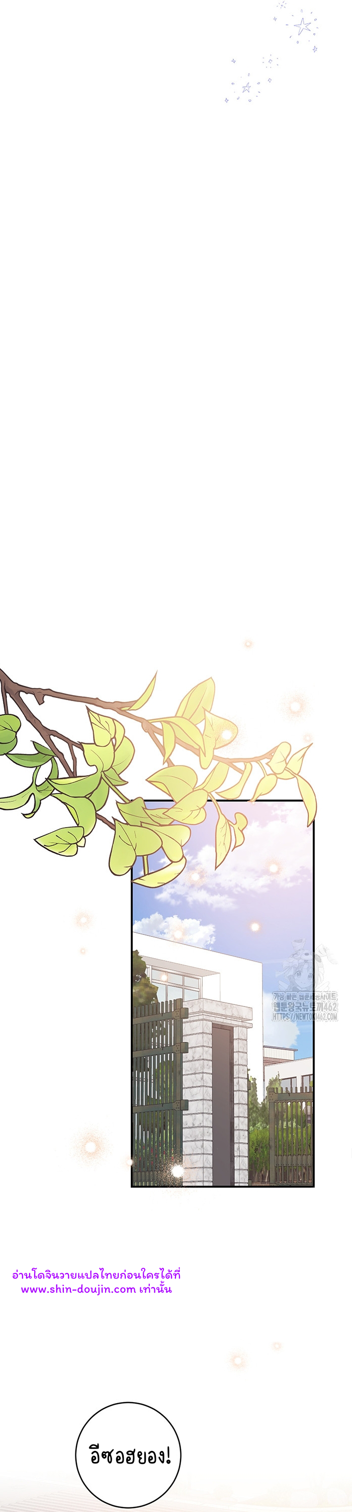 Dandelion Flower Observation Diary EP 6